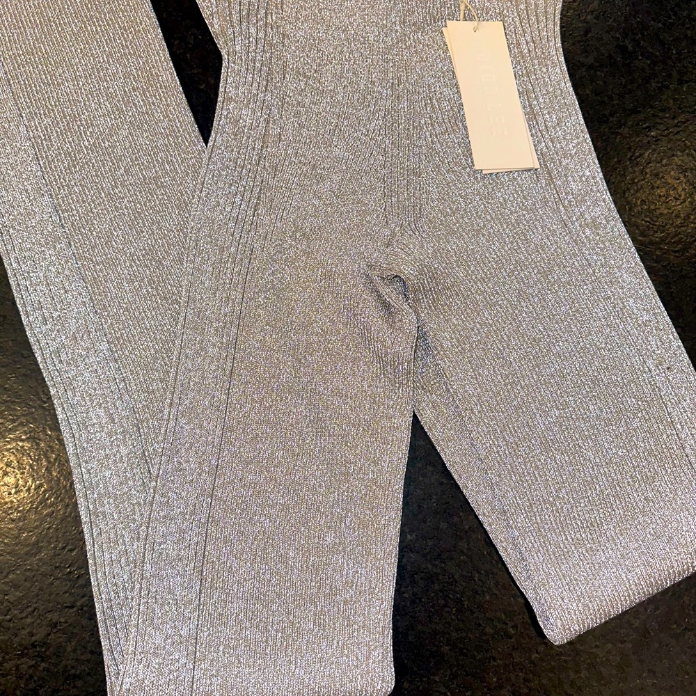 Dion Lee Light Reflective Rib Pant